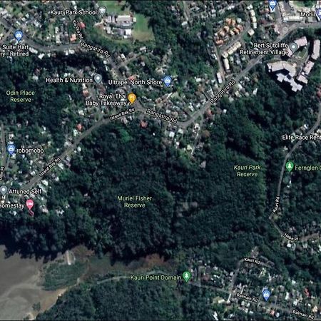 Fernglen B&B Auckland Exteriör bild