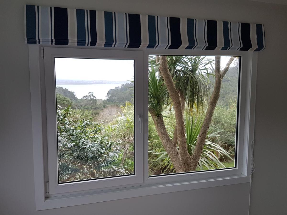 Fernglen B&B Auckland Exteriör bild